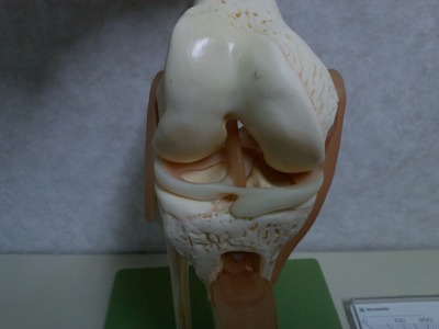 右膝　お皿を外して前から